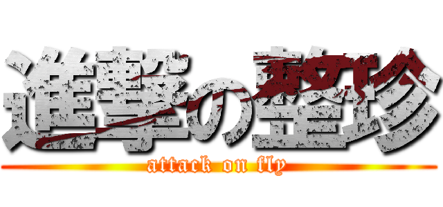進撃の整珍 (attack on fly)