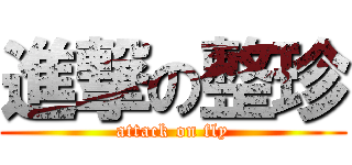進撃の整珍 (attack on fly)