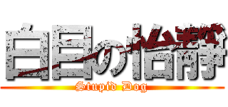白目の怡靜 (Stupid Dog)