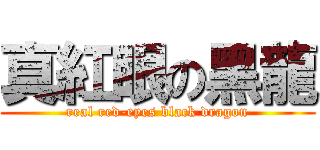 真紅眼の黑龍 (real red-eyes black dragon)