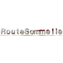 ＲｏｕｔｅＳｏｍｍｅｌｉｅｒ ()