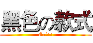 黑色の款式 (Color)