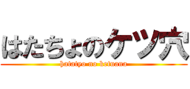 はたちょのケツ穴 (hatatyo no ketuana)