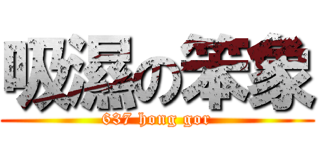 吸濕の笨象 (637 hong gor)