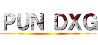 ＰＵＮ ＤＸＧ ()