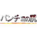 パンチョの尻 (three holes anal)