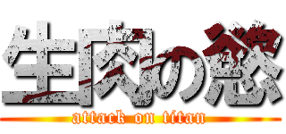 生肉の慾 (attack on titan)