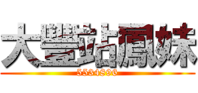 大豐站鳳妹 (5534896)