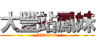 大豐站鳳妹 (5534896)