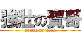 強壯の寶哥 (attack on titan)