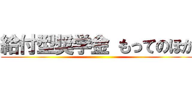 給付型奨学金 もってのほか ()