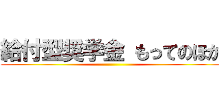 給付型奨学金 もってのほか ()