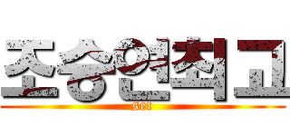 조승연최고 (set)