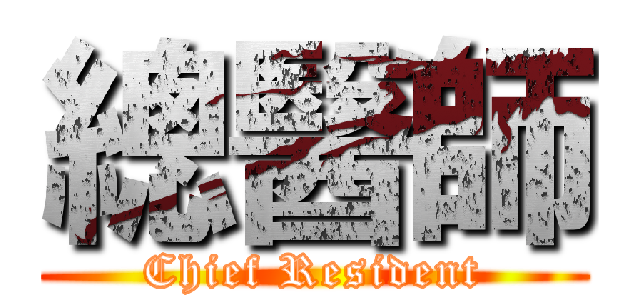 總醫師 (Chief Resident)