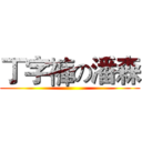 丁字褲の潘森 ()
