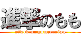 進撃のもも (attack on pomeranian)