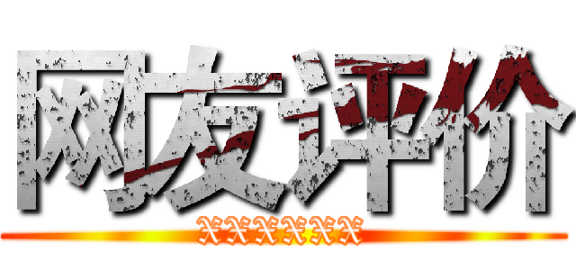 网友评价 (XXXXXX)