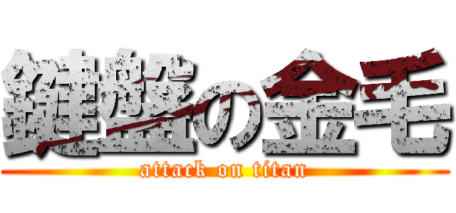 鍵盤の金毛 (attack on titan)