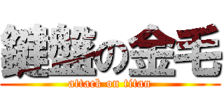 鍵盤の金毛 (attack on titan)