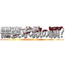 需要求救の穎璇 (help me plz)