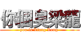 你個臭梁龍 (you is Liang Long )