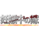 妊娠中の嫁 (My wife is pregnant.)