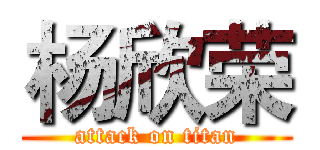 杨欣荣 (attack on titan)