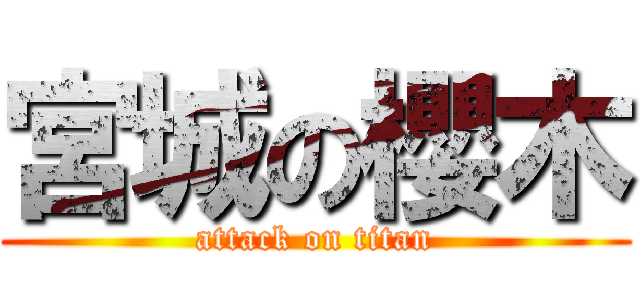 宮城の櫻木 (attack on titan)