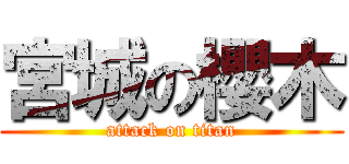 宮城の櫻木 (attack on titan)