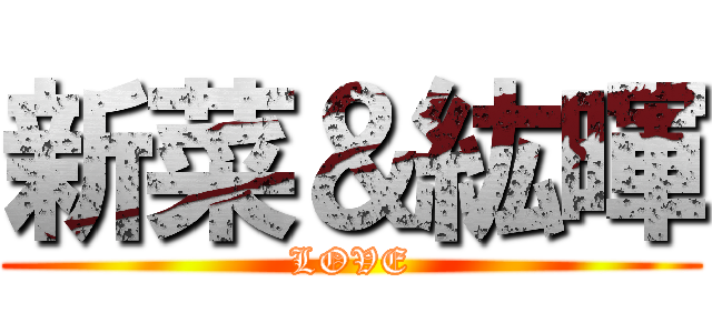 新菜＆紘暉 (LOVE)