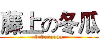 藤上の冬瓜 (dadonggua)