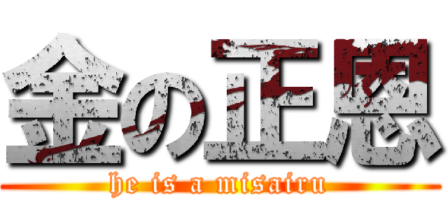 金の正恩 (he is a misairu)