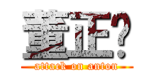 董正顺 (attack on anton)