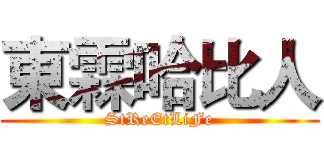 東霖哈比人 (StReEtLiFe)