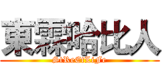 東霖哈比人 (StReEtLiFe)