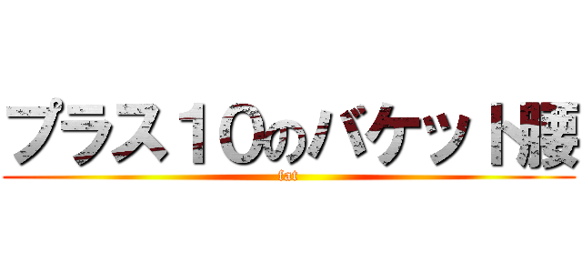 プラス１０のバケット腰 (fat)