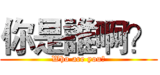 你是誰啊？ (Who are you?)