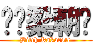 帕骑梁朝伟 (Bitch Kakarote)