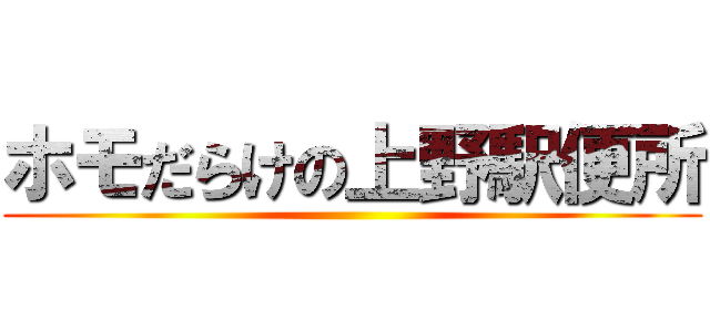 ホモだらけの上野駅便所 ()