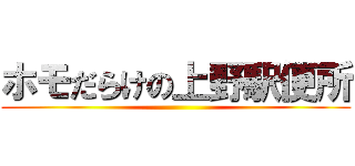 ホモだらけの上野駅便所 ()