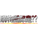 購物團都是垃圾 (購物團通通是垃圾)