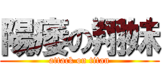 陽痿の翔妹 (attack on titan)