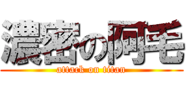 濃密の阿毛 (attack on titan)