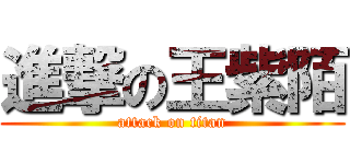 進撃の王紫陌 (attack on titan)