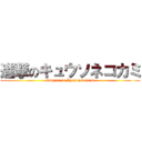 進撃のキュウソネコカミ (Singeki no Kyusonekokami)