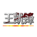 王凯锋 ()