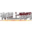 有種上我阿 (If you can,Come to fuck me)