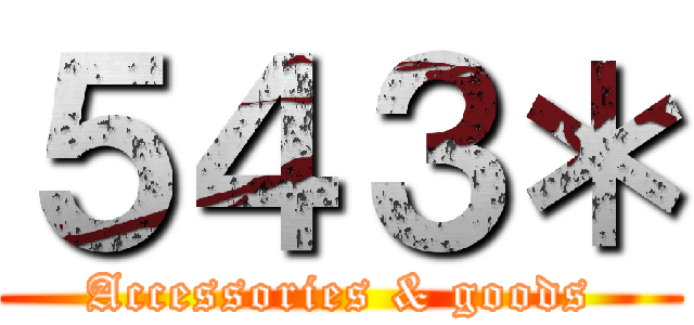 ５４３＊ (Accessories & goods)