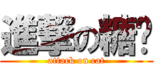 進撃の糖喵 (attack on cat)
