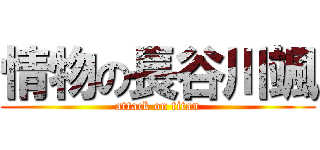 情物の長谷川颯 (attack on titan)